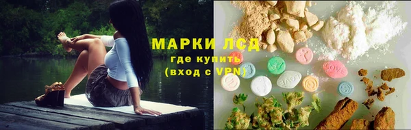хмурый Карпинск