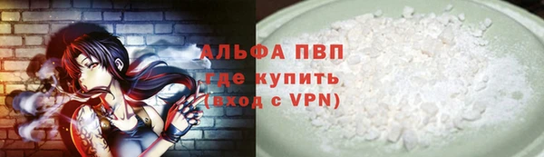 индика Кинешма