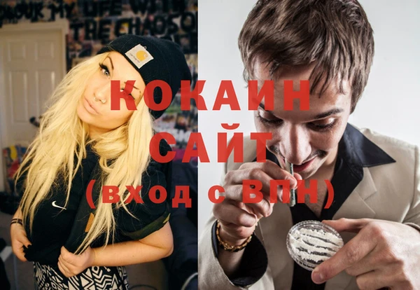 соль ск Касимов