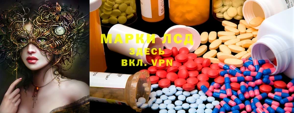 индика Кинешма