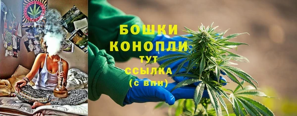 соль ск Касимов