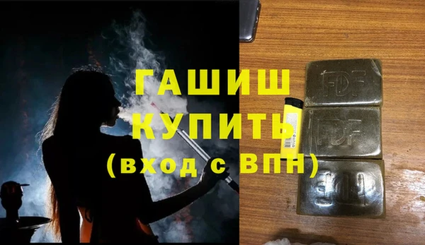 индика Кинешма
