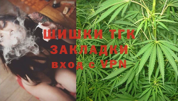 соль ск Касимов