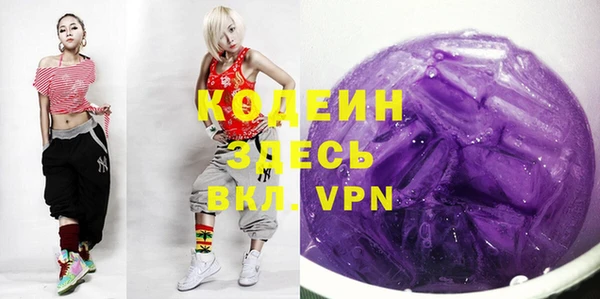хмурый Карпинск