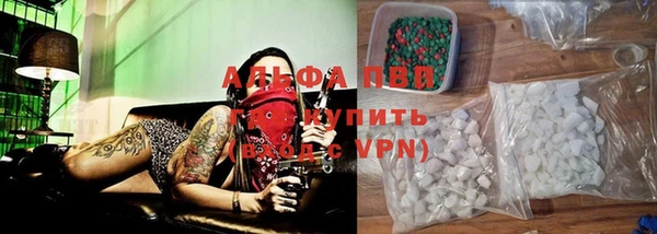 гашик Карталы