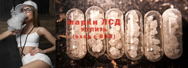 индика Кинешма