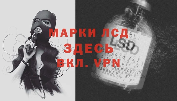 гашик Карталы